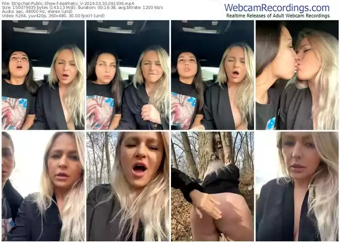 stripchat-aesthetic_v-03-30-2024-09-19-36