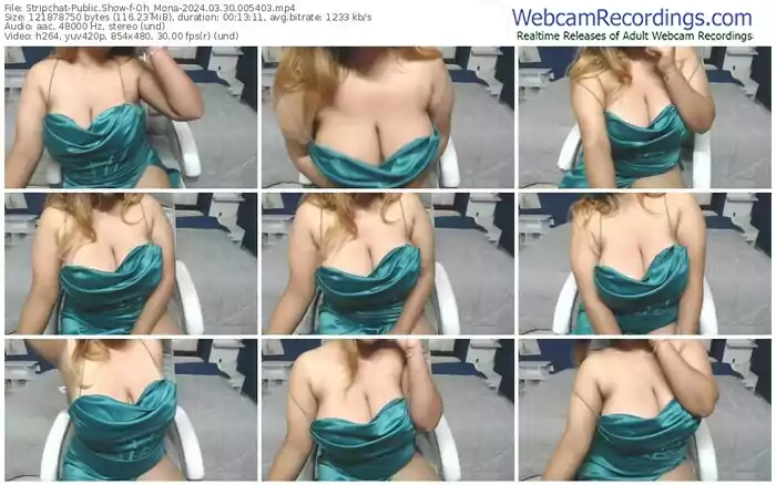 stripchat-oh_mona-03-30-2024-00-54-03