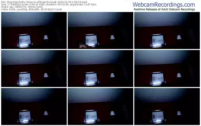 stripchat-afterpartycloudz-03-30-2024-13-31-54