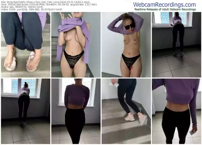 stripchat-two_hot_cats_love-03-31-2024-14-20-11