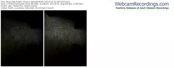 stripchat-geilstel4245-03-31-2024-08-13-20