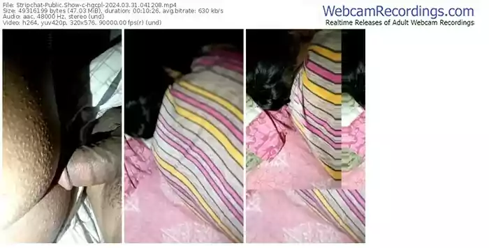 stripchat-hgcpl-03-31-2024-04-12-08