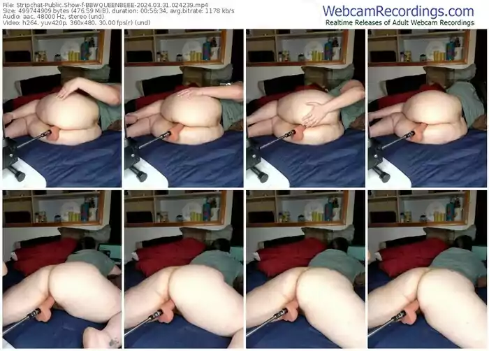 stripchat-bbwqueenbeee-03-31-2024-02-42-39