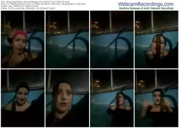 stripchat-megan_lu2-03-31-2024-02-51-47