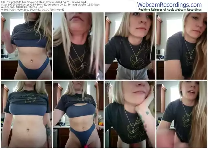 stripchat-celestialfoxxx-04-01-2024-16-14-24