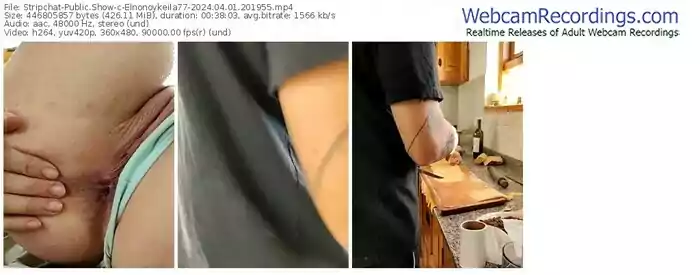 stripchat-elnonoykeila77-04-01-2024-20-19-55