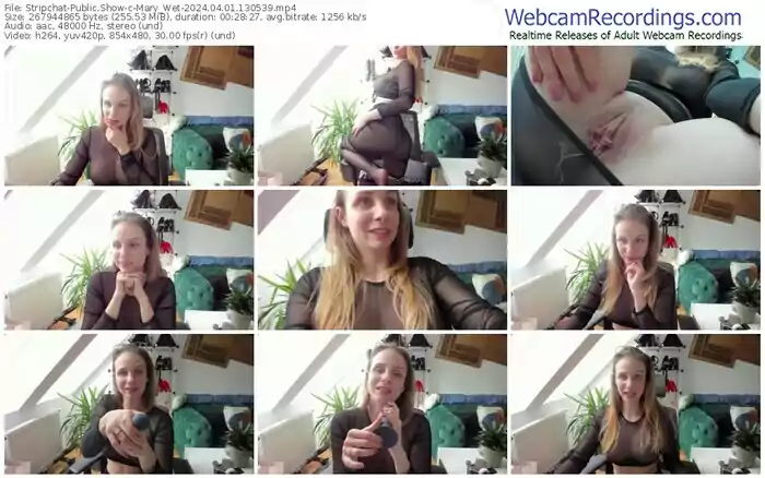 stripchat-mary_wet-04-01-2024-13-05-39