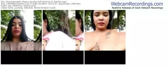 stripchat-nicolle_milf-04-01-2024-20-00-42