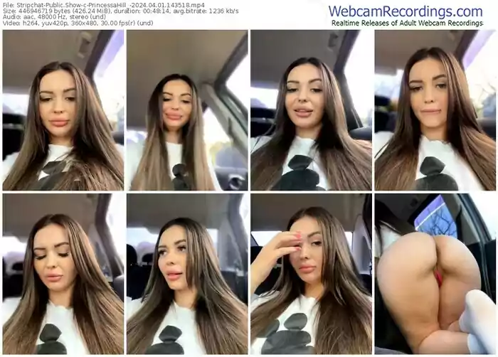 stripchat-princessahill_-04-01-2024-14-35-18