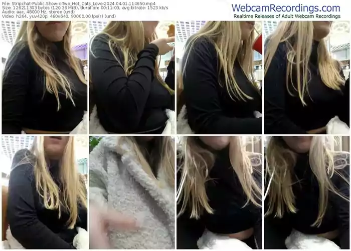 stripchat-two_hot_cats_love-04-01-2024-11-46-50