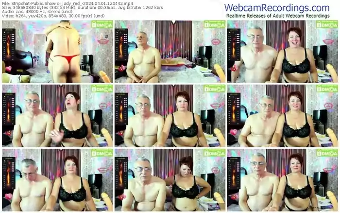 stripchat-_lady_red_-04-01-2024-12-04-42
