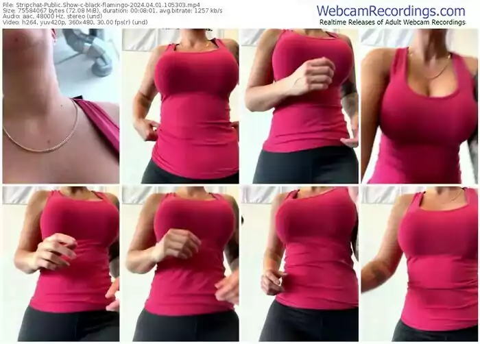 stripchat-black-flamingo-04-01-2024-10-53-03