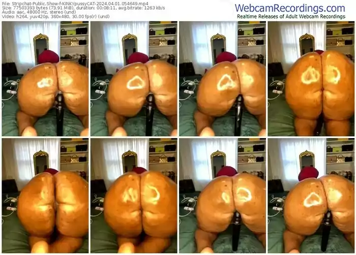 stripchat-kinkypussycat-04-01-2024-05-46-49