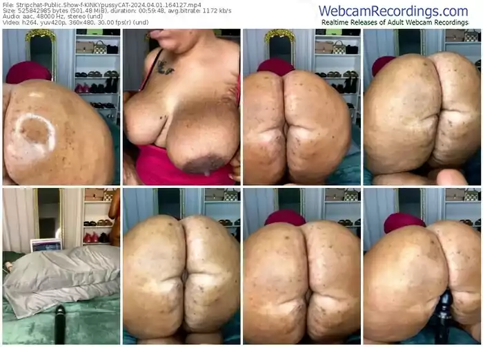 stripchat-kinkypussycat-04-01-2024-16-41-27