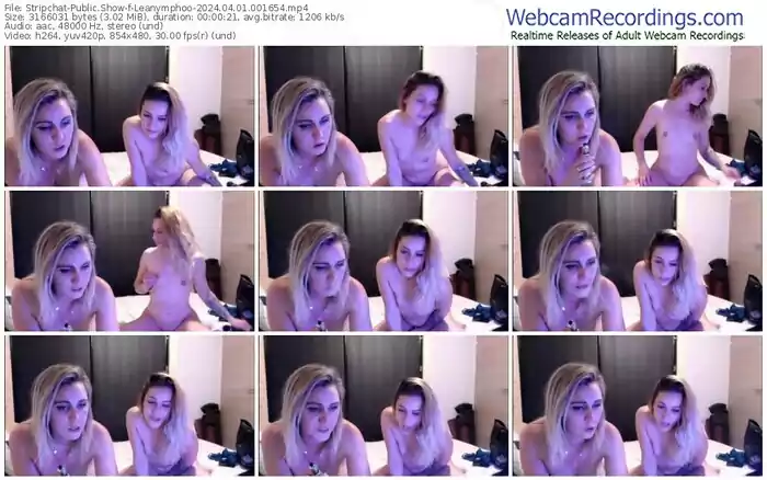 stripchat-leanymphoo-04-01-2024-00-16-54