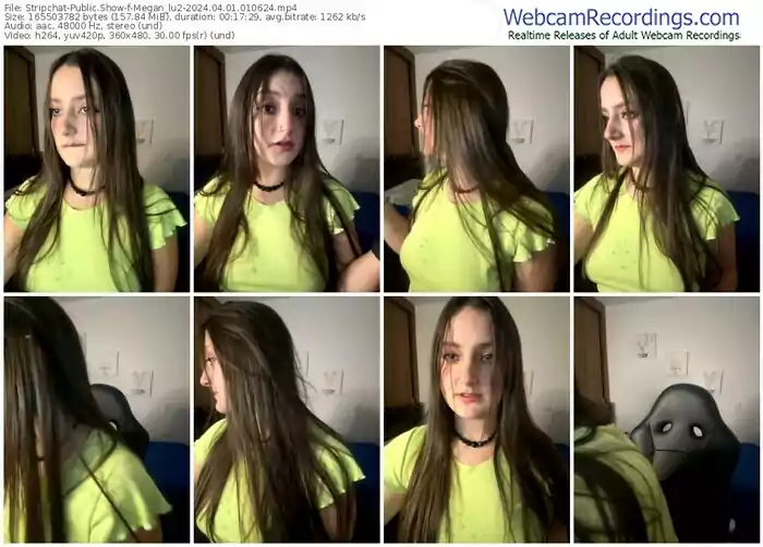 stripchat-megan_lu2-04-01-2024-01-06-24