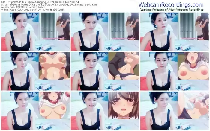stripchat-jingjing_-04-01-2024-04-41-28
