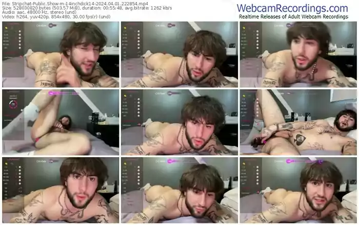 stripchat-14inchdick14-04-01-2024-22-28-54
