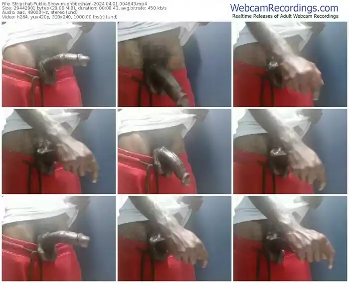 stripchat-phbbcsham-04-01-2024-00-46-43