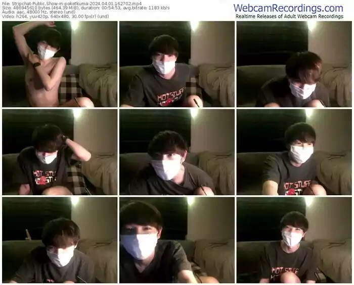 stripchat-poketkuma-04-01-2024-16-27-02