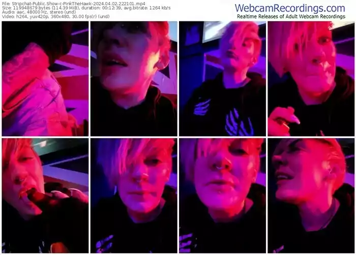 stripchat-pinkthehawk-04-02-2024-22-21-01