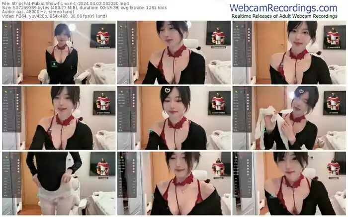 stripchat-1-xxn-1-04-02-2024-03-22-20