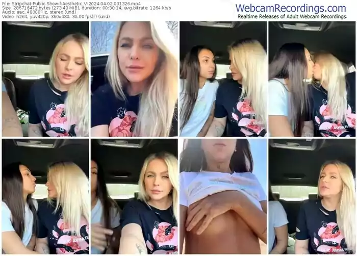 stripchat-aesthetic_v-04-02-2024-03-13-26