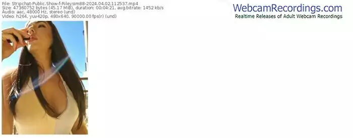 stripchat-rileysim88-04-02-2024-11-25-37