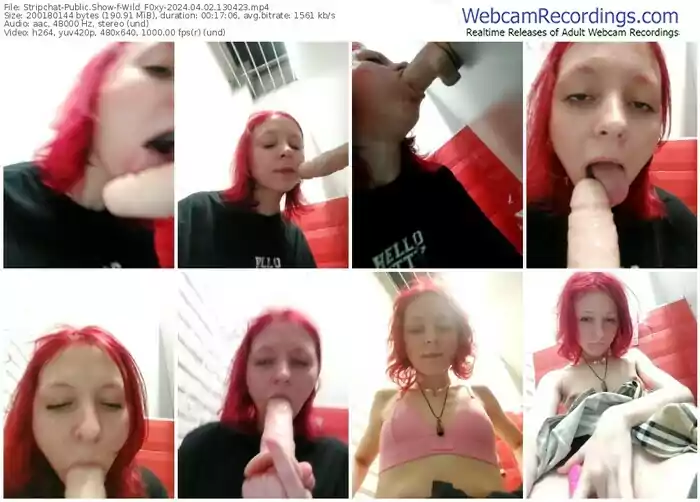 stripchat-wild_f0xy-04-02-2024-13-04-23