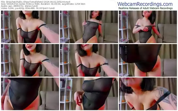 stripchat-smallsheryl-04-02-2024-20-51-44