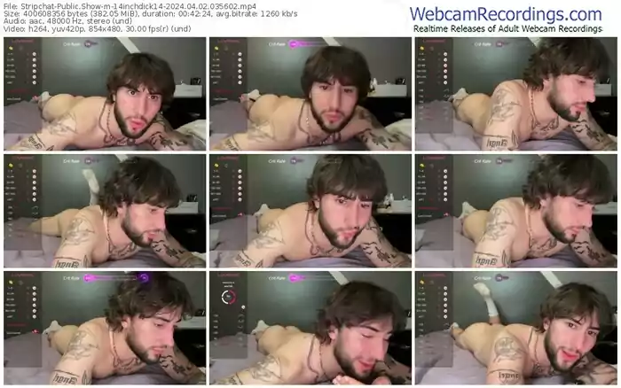 stripchat-14inchdick14-04-02-2024-03-56-02