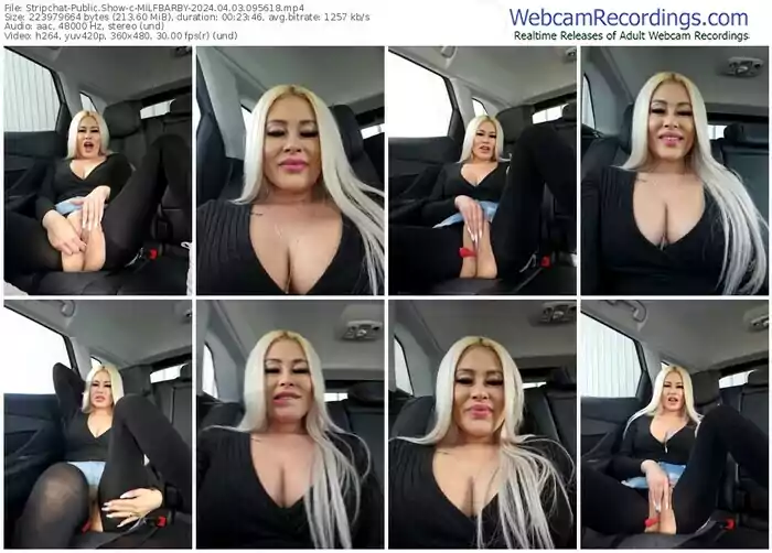 stripchat-milfbarby-04-03-2024-09-56-18
