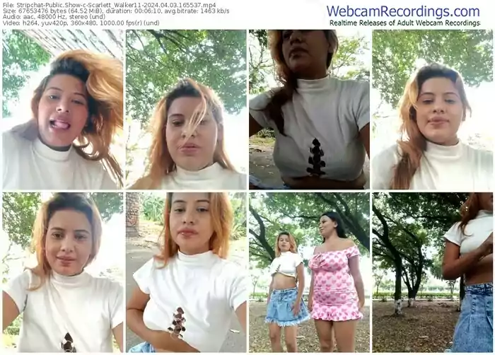 stripchat-scarlett_walker11-04-03-2024-16-55-37