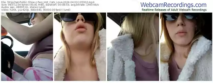 stripchat-two_hot_cats_love-04-03-2024-10-53-02