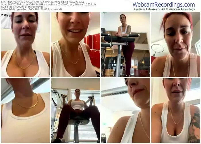 stripchat-black-flamingo-04-03-2024-06-24-55