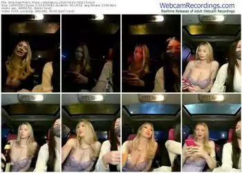 stripchat-shybabyss-04-03-2024-18-51-16