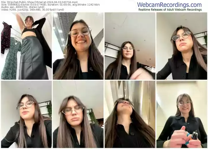 stripchat-rinacat-04-03-2024-04-37-04