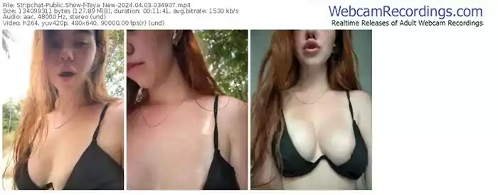 stripchat-teya_new-04-03-2024-03-49-07