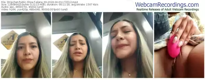 stripchat-alana_69-04-03-2024-17-20-12