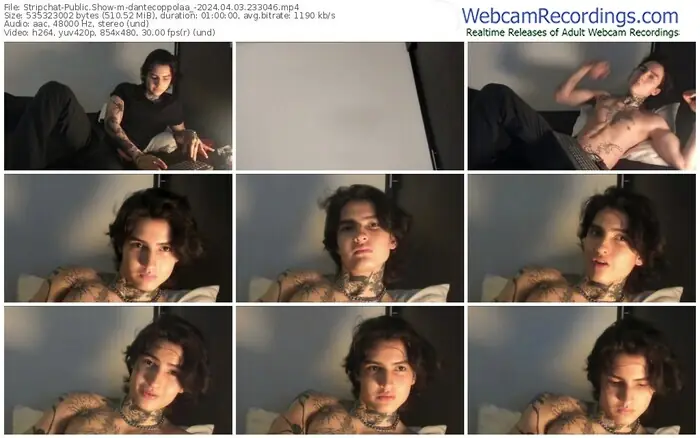 stripchat-dantecoppolaa_-04-03-2024-23-30-46
