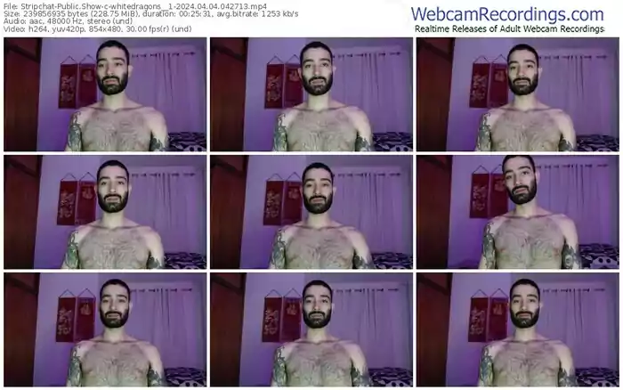 stripchat-whitedragons__1-04-04-2024-04-27-13