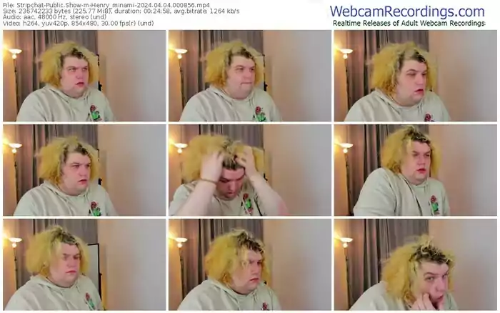 stripchat-henry_minami-04-04-2024-00-08-56