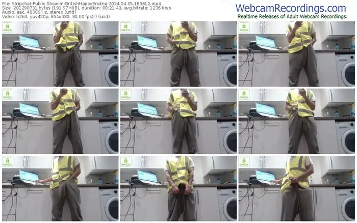 stripchat-britishhappyending-04-05-2024-18-36-12