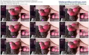 stripchat-controlmytoys-04-05-2024-17-48-36