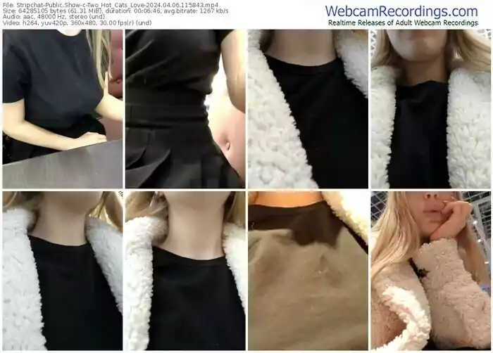 stripchat-two_hot_cats_love-04-06-2024-11-58-43