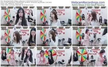 stripchat-ydhymsv1-04-06-2024-14-12-57