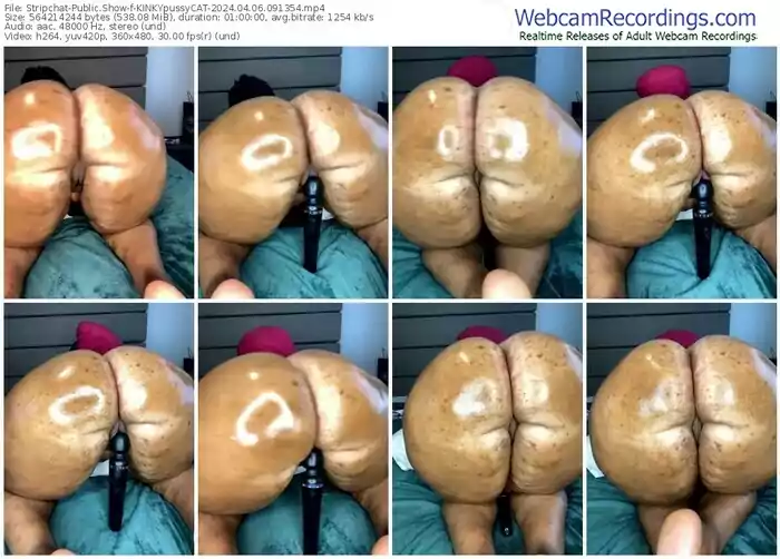 stripchat-kinkypussycat-04-06-2024-09-13-54