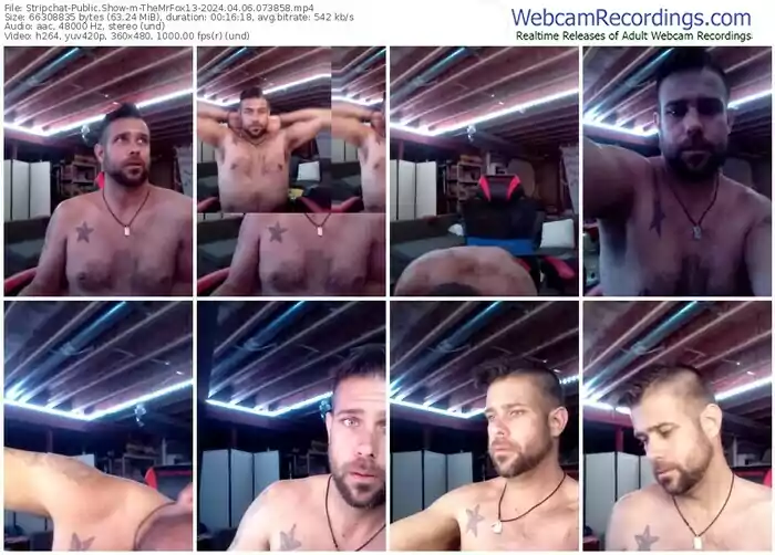 stripchat-themrfox13-04-06-2024-07-38-58