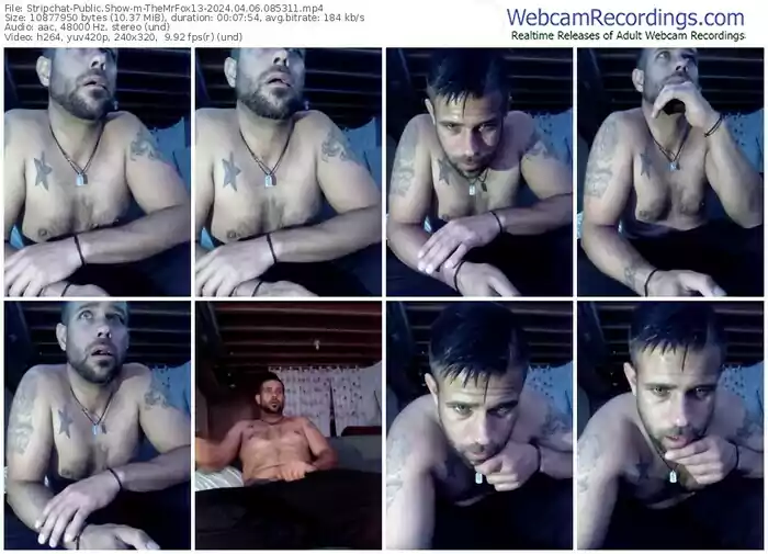 stripchat-themrfox13-04-06-2024-08-53-11