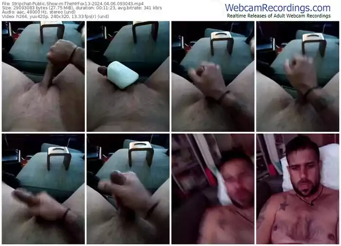 stripchat-themrfox13-04-06-2024-09-30-43